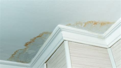 brown stain on ceiling but no leak|Brown Stain on Ceiling But No Leak: Causes and。